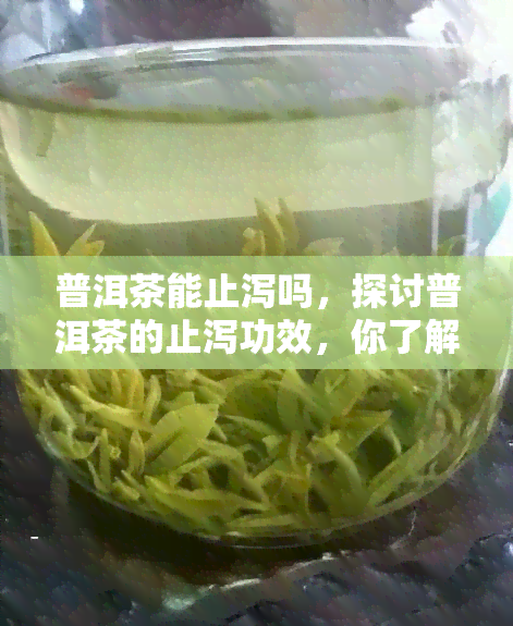 普洱茶能止泻吗，探讨普洱茶的止泻功效，你了解多少？