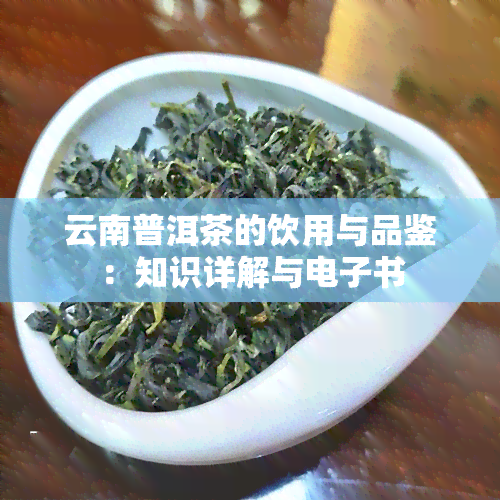 云南普洱茶的饮用与品鉴：知识详解与电子书