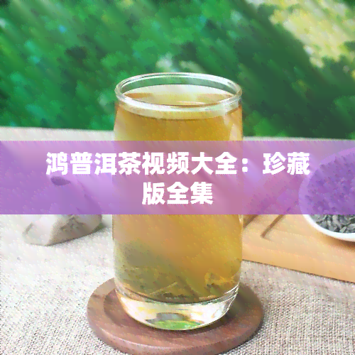 鸿普洱茶视频大全：珍藏版全集