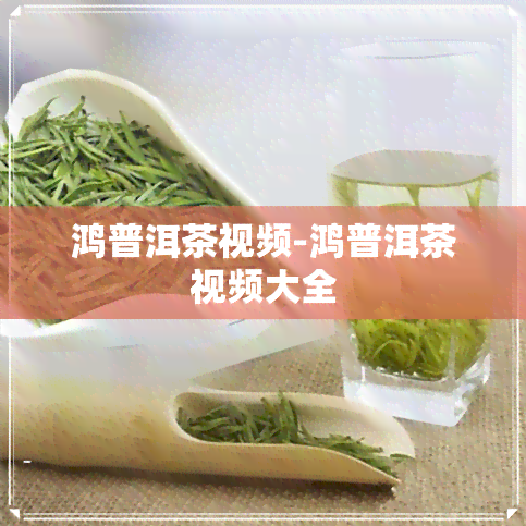 鸿普洱茶视频-鸿普洱茶视频大全