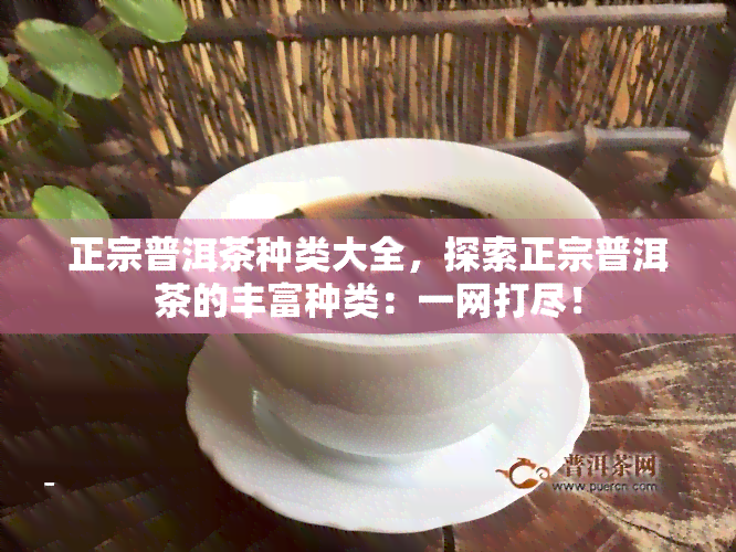 正宗普洱茶种类大全，探索正宗普洱茶的丰富种类：一网打尽！