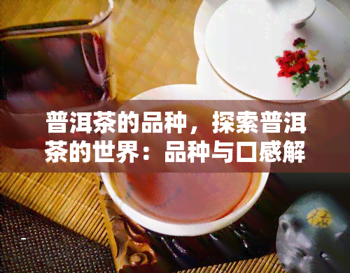 普洱茶的品种，探索普洱茶的世界：品种与口感解析