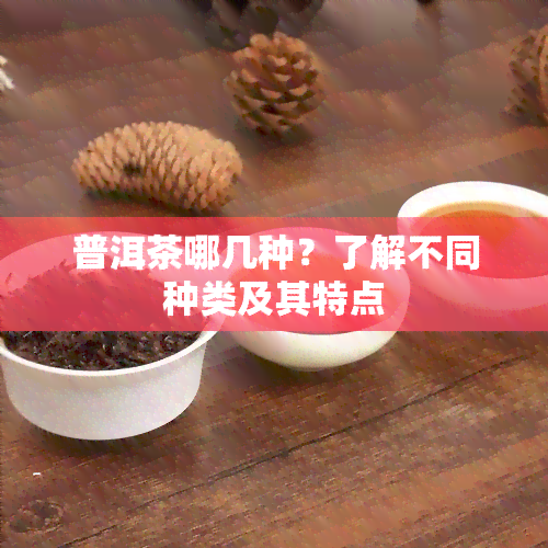 普洱茶哪几种？了解不同种类及其特点