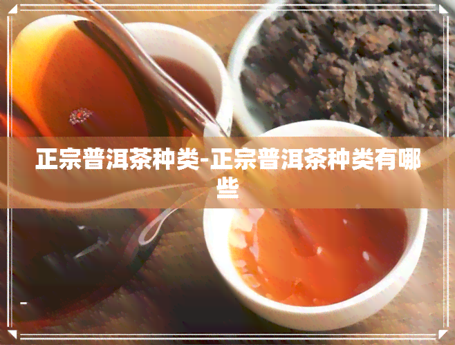 正宗普洱茶种类-正宗普洱茶种类有哪些