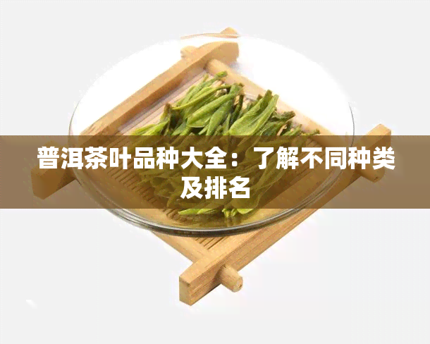 普洱茶叶品种大全：了解不同种类及排名