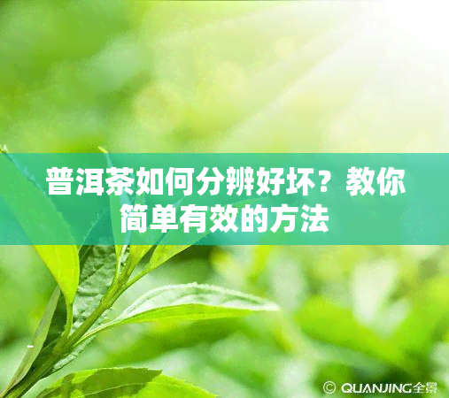 普洱茶如何分辨好坏？教你简单有效的方法