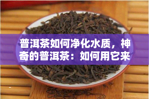 普洱茶如何净化水质，神奇的普洱茶：如何用它来净化水质？