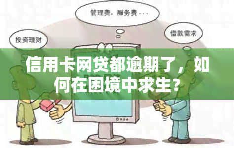 信用卡网贷都逾期了，如何在困境中求生？