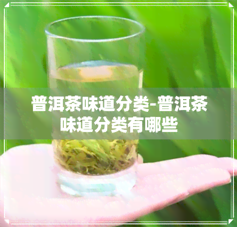 普洱茶味道分类-普洱茶味道分类有哪些