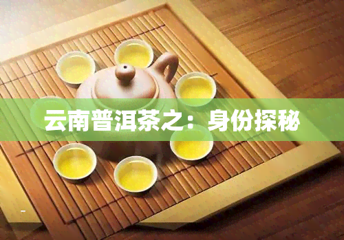 云南普洱茶之：身份探秘