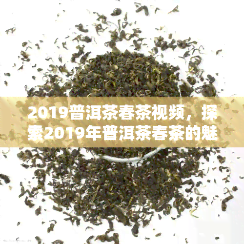 2019普洱茶春茶视频，探索2019年普洱茶春茶的魅力：最新视频解析