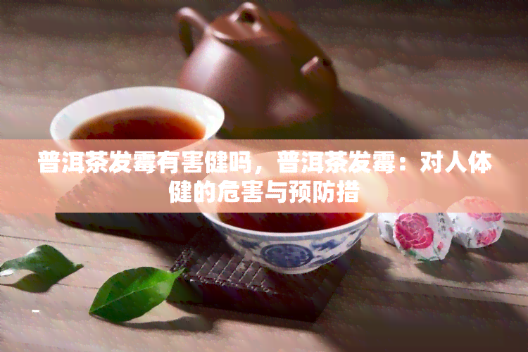 普洱茶发霉有害健吗，普洱茶发霉：对人体健的危害与预防措