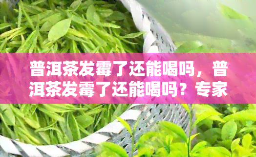 普洱茶发霉了还能喝吗，普洱茶发霉了还能喝吗？专家解析茶叶变质风险与处理方法