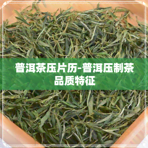 普洱茶压片历-普洱压制茶品质特征