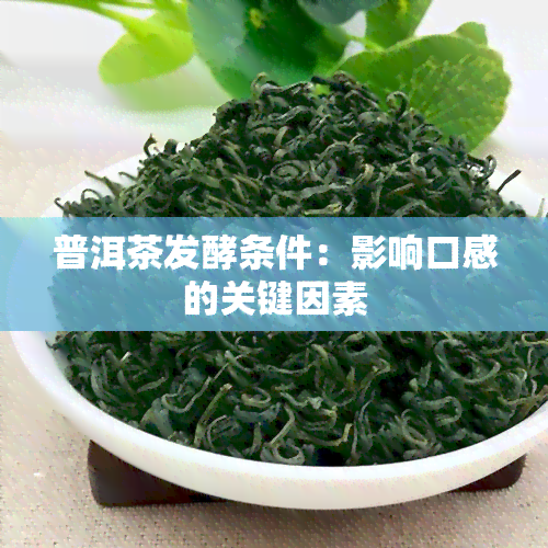 普洱茶发酵条件：影响口感的关键因素