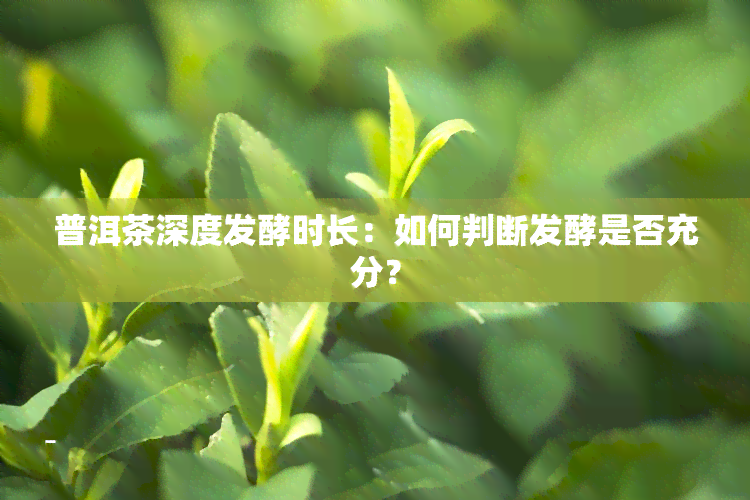 普洱茶深度发酵时长：如何判断发酵是否充分？