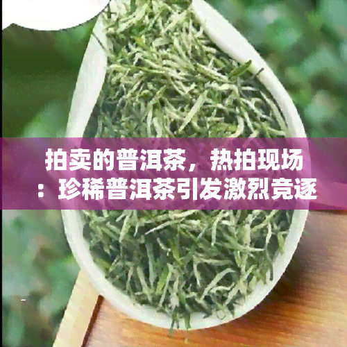 拍卖的普洱茶，热拍现场：珍稀普洱茶引发激烈竞逐