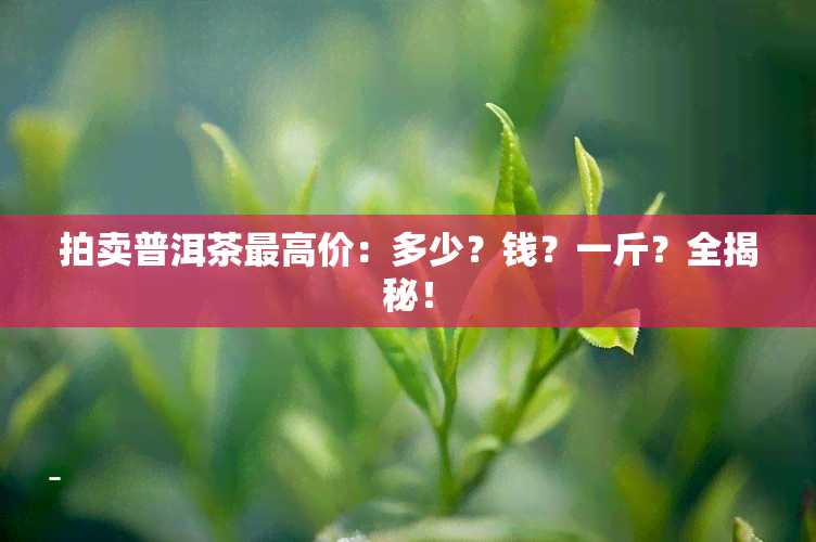 拍卖普洱茶更高价：多少？钱？一斤？全揭秘！