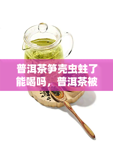 普洱茶笋壳虫蛀了能喝吗，普洱茶被笋壳虫蛀了还能喝吗？