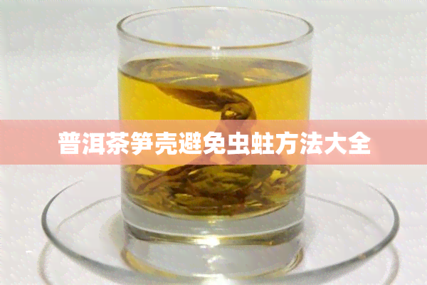 普洱茶笋壳避免虫蛀方法大全