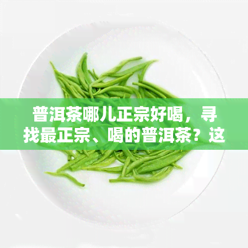 普洱茶哪儿正宗好喝，寻找最正宗、喝的普洱茶？这份指南帮你找到！