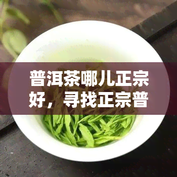 普洱茶哪儿正宗好，寻找正宗普洱茶？这份购买指南告诉你哪里的好！