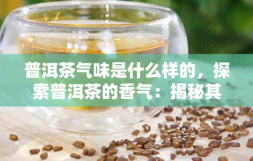 普洱茶气味是什么样的，探索普洱茶的香气：揭秘其独特气味特征