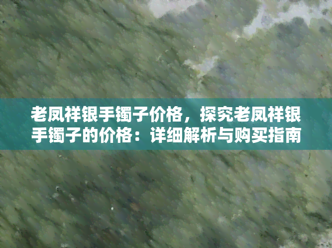 老凤祥银手镯子价格，探究老凤祥银手镯子的价格：详细解析与购买指南