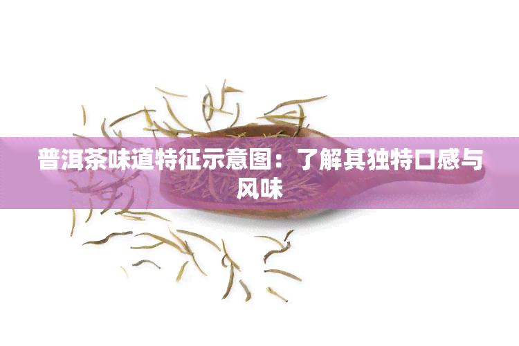 普洱茶味道特征示意图：了解其独特口感与风味