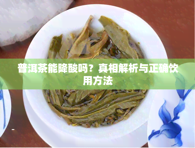 普洱茶能降酸吗？真相解析与正确饮用方法