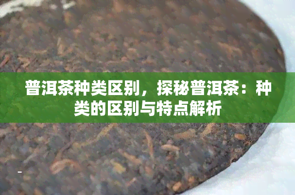 普洱茶种类区别，探秘普洱茶：种类的区别与特点解析