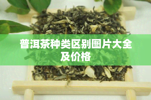 普洱茶种类区别图片大全及价格