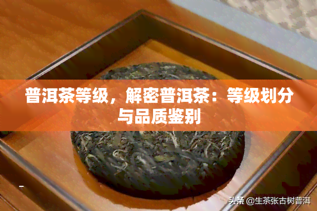 普洱茶等级，解密普洱茶：等级划分与品质鉴别