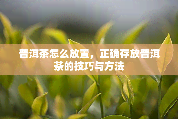 普洱茶怎么放置，正确存放普洱茶的技巧与方法