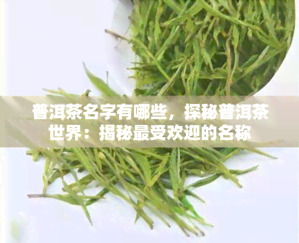 普洱茶名字有哪些，探秘普洱茶世界：揭秘更受欢迎的名称