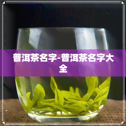 普洱茶名字-普洱茶名字大全