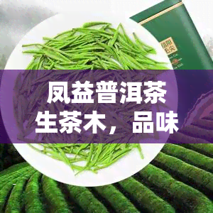 凤益普洱茶生茶木，品味自然韵味：凤益普洱茶生茶木的独特口感与保健功效