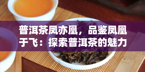 普洱茶凤亦凰，品鉴凤凰于飞：探索普洱茶的魅力