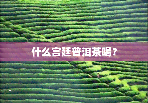 什么宫廷普洱茶喝？