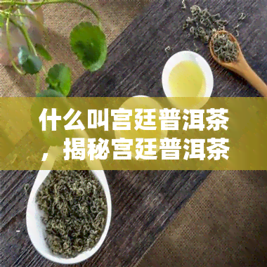 什么叫宫廷普洱茶，揭秘宫廷普洱茶：了解这种珍贵的中国茶叶