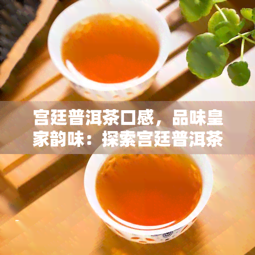 宫廷普洱茶口感，品味皇家韵味：探索宫廷普洱茶的口感世界