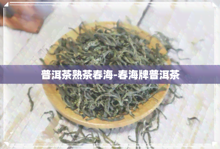 普洱茶熟茶春海-春海牌普洱茶