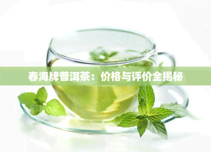 春海牌普洱茶：价格与评价全揭秘