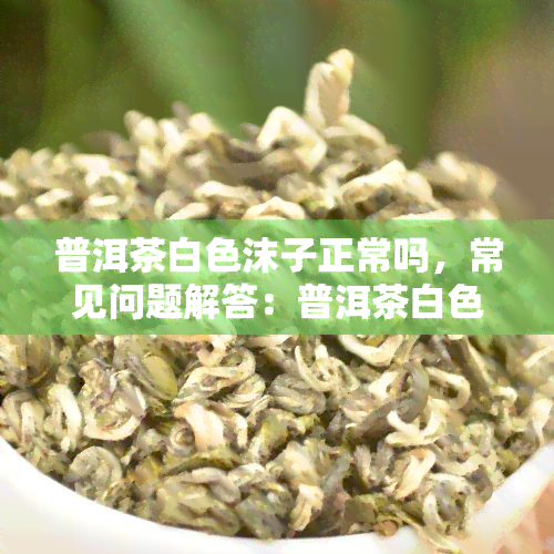 普洱茶白色沫子正常吗，常见问题解答：普洱茶白色泡沫是否正常？