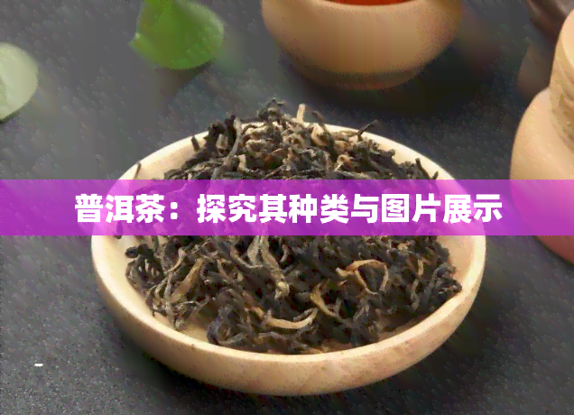 普洱茶：探究其种类与图片展示