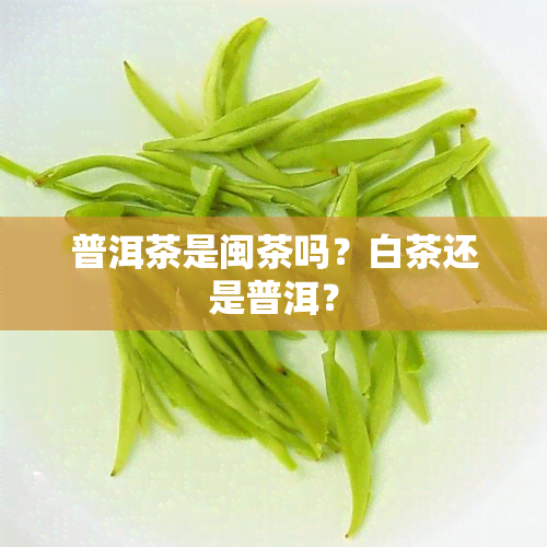 普洱茶是闽茶吗？白茶还是普洱？