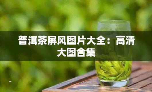 普洱茶屏风图片大全：高清大图合集