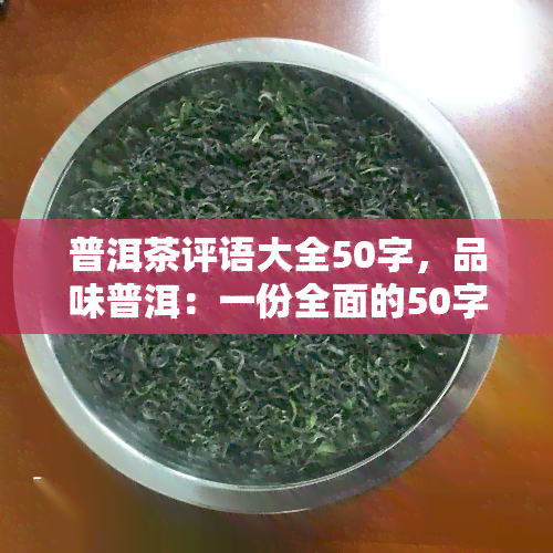 普洱茶评语大全50字，品味普洱：一份全面的50字品茶指南