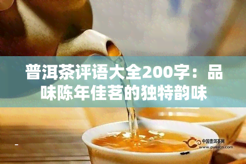 普洱茶评语大全200字：品味陈年佳茗的独特韵味