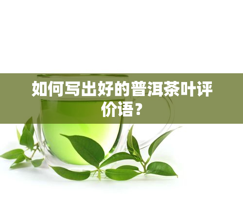 如何写出好的普洱茶叶评价语？